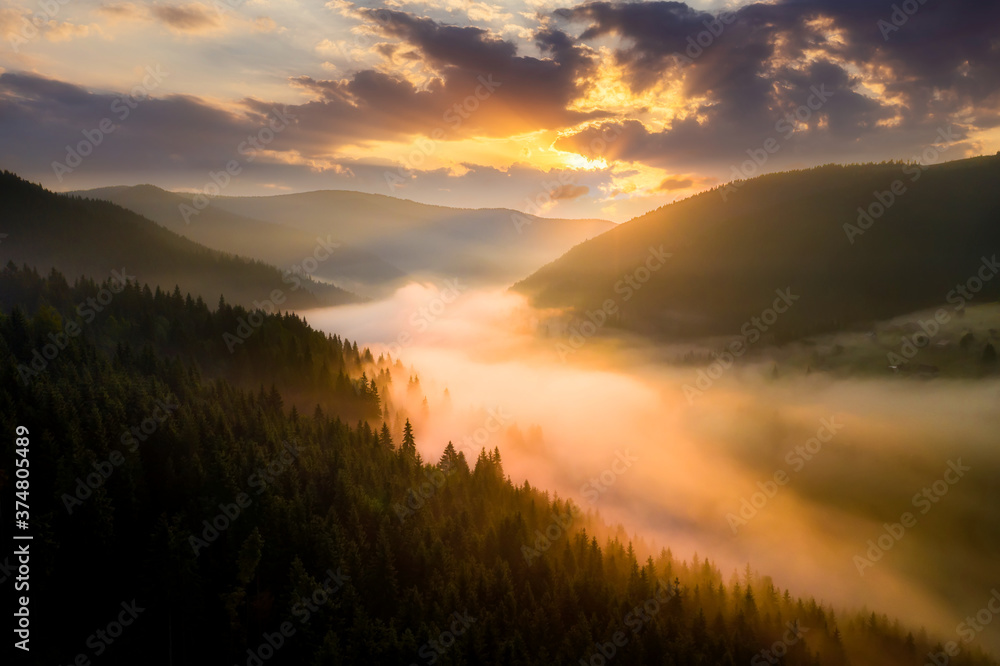 Obraz premium Fog in the mountains at dawn. Beautiful summer foggy landscape. Hiking in the mountains