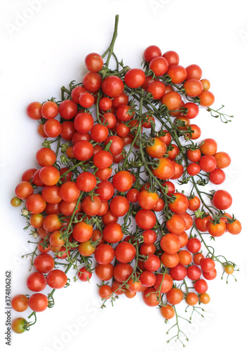 Cherry tomatoes on vines