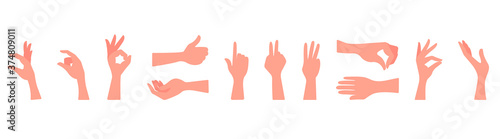 Set of hands on a white background. Different hand gestures, hold, take, give, pinch, approve, support, okay, okay. Fingers closed, open, palm, hand, skin. Vector illustration, flat design, eps 10.