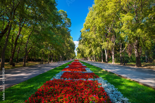 Spring in Sea Garden Park, Varna Bulgaria.