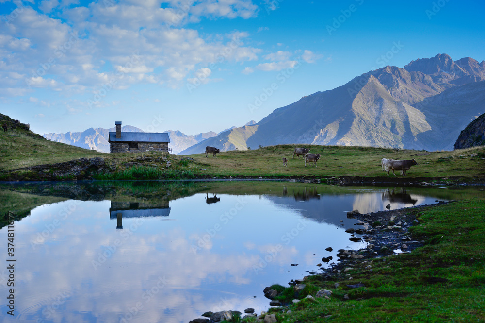 Horses and cows in a meadow by a lake in a mountain valley. Mountains landscape in summer.Pyrenees.Spain Horses and cows in a meadow by a lake in a mountain valley. Mountains landscape in summer.Pyrenees.Spain