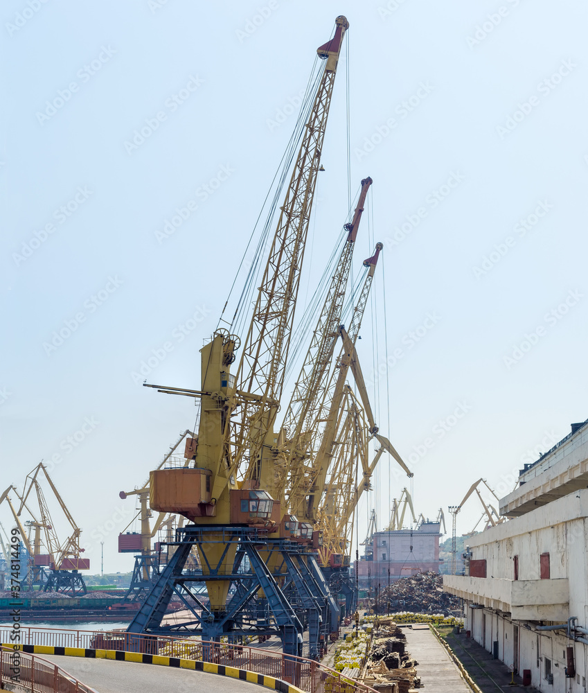 Different harbor cranes in sea cargo port