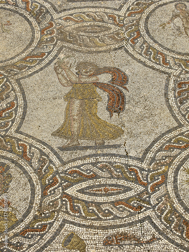 Mosaicos de la casa de Baco.Ciudad Romana de Volubilis(II d.c.), yacimiento arqueologico.Marruecos.