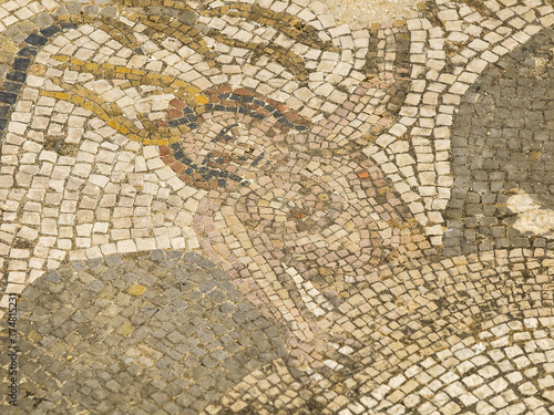 Mosaicos de la casa de Baco.Ciudad Romana de Volubilis II d.c.   yacimiento arqueologico.Marruecos.