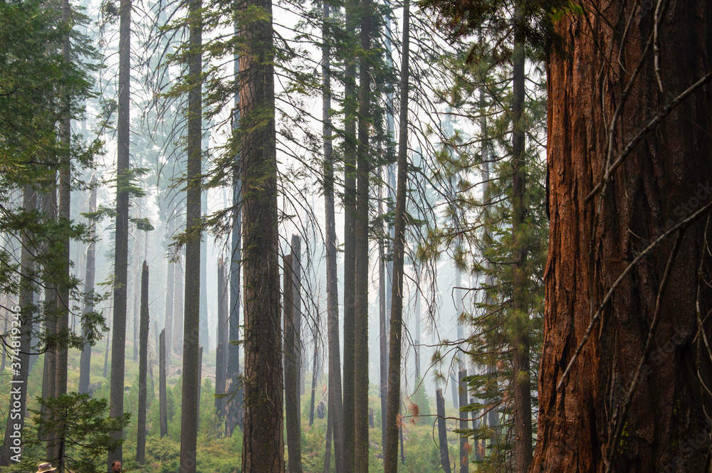 Fototapeta premium EEUU Oeste