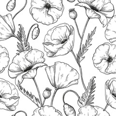 Acrylglasbilder Mohnblumenmuster Botanische Mohnblumen Skizze Musterdesign  © Ann Lou