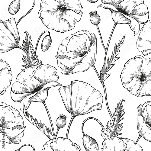 Poppy flowers seamless pattern,  sketch botanical repeating pattern. Vector floral design.