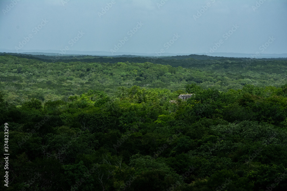 Edificio Maya en medio de la selva
