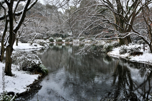 池のある公園の冬の風景