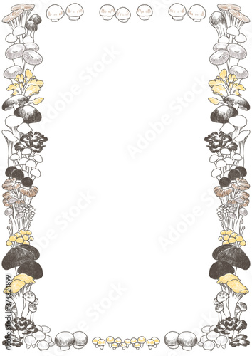 きのこのフレーム