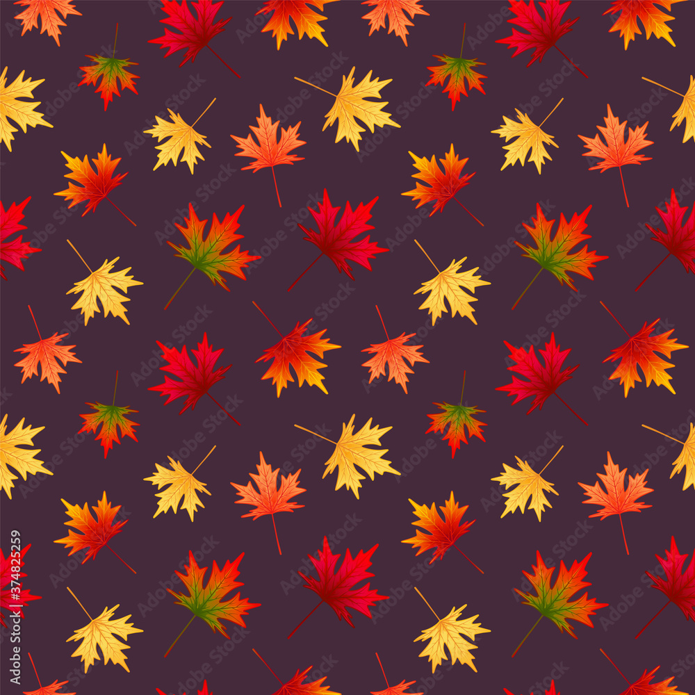 Seamless pattern with multicolored autumn maple leaves on dark background.