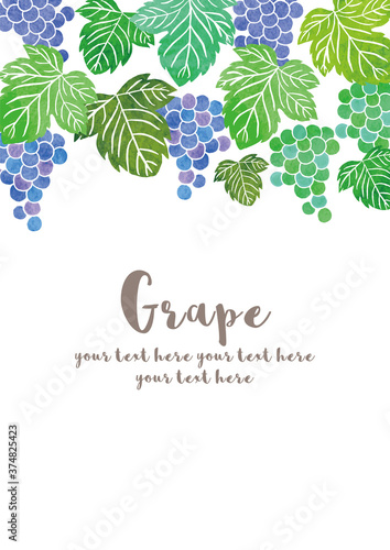 ぶどう_フレーム_水彩02