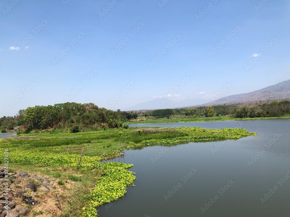 portrait of natural scenery with a river decorated with fresh green plants and a clear blue sky. against the backdrop of a towering mountain.