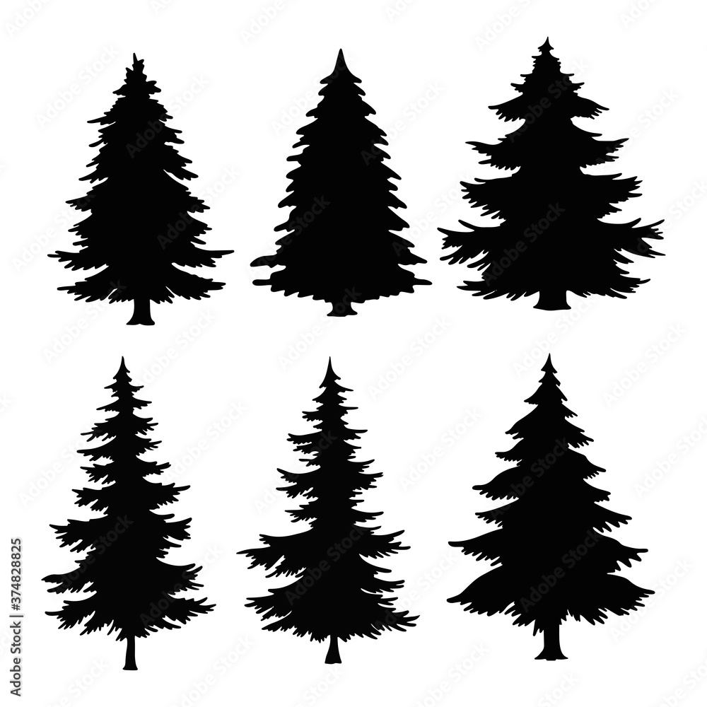 Isolated Pine on the white background.Pine silhouettes. Tree hand drawn.Vector EPS 10.