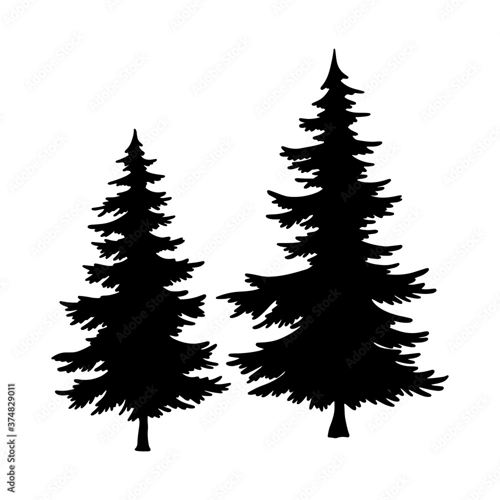 Fototapeta premium Isolated Pine on the white background.Pine silhouettes. Tree hand drawn.Vector EPS 10.