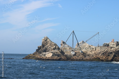 Farallon Island Whale Watching Tour