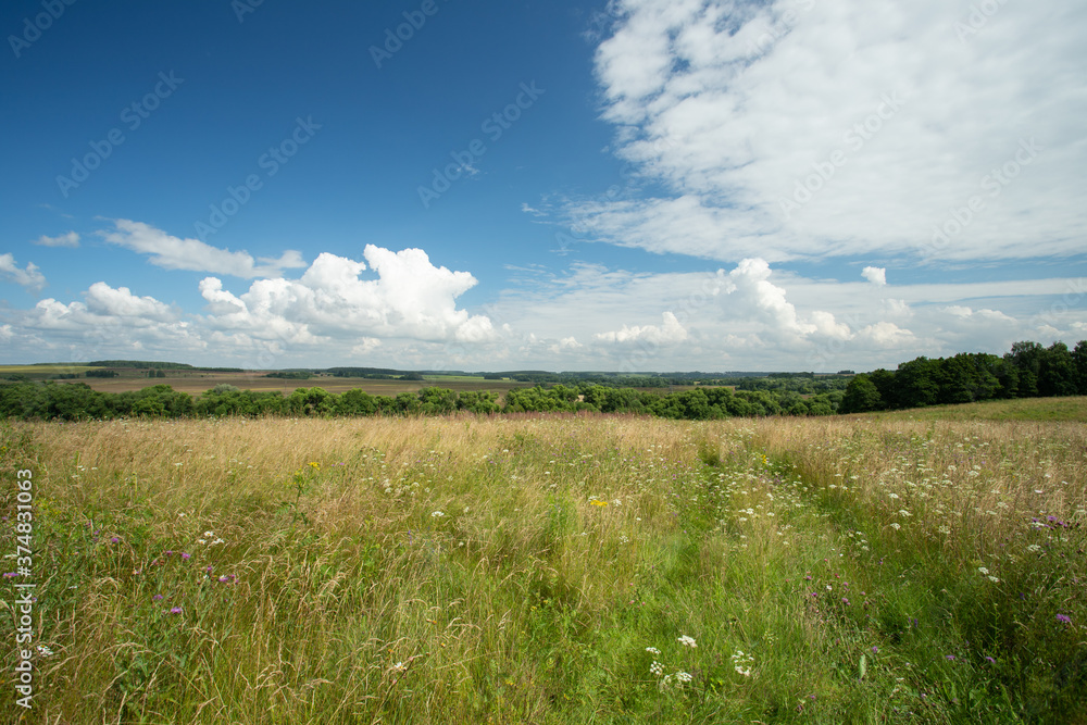 Meadow Field With Clouds In Sunny Day In Summer.