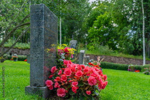 Row of gravestones with pink flowers