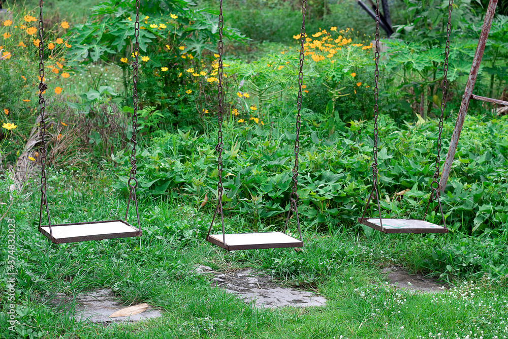 The old rope wooden swing in the garden The old rope wooden swing in the garden