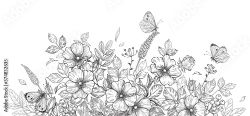 Hand Drawn Wild Flowers, Dog-Rose and Butterflies