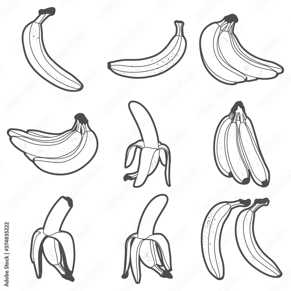 Banana vector outline icons set isolated on a white background. Banana vector outline icons set isolated on a white background.