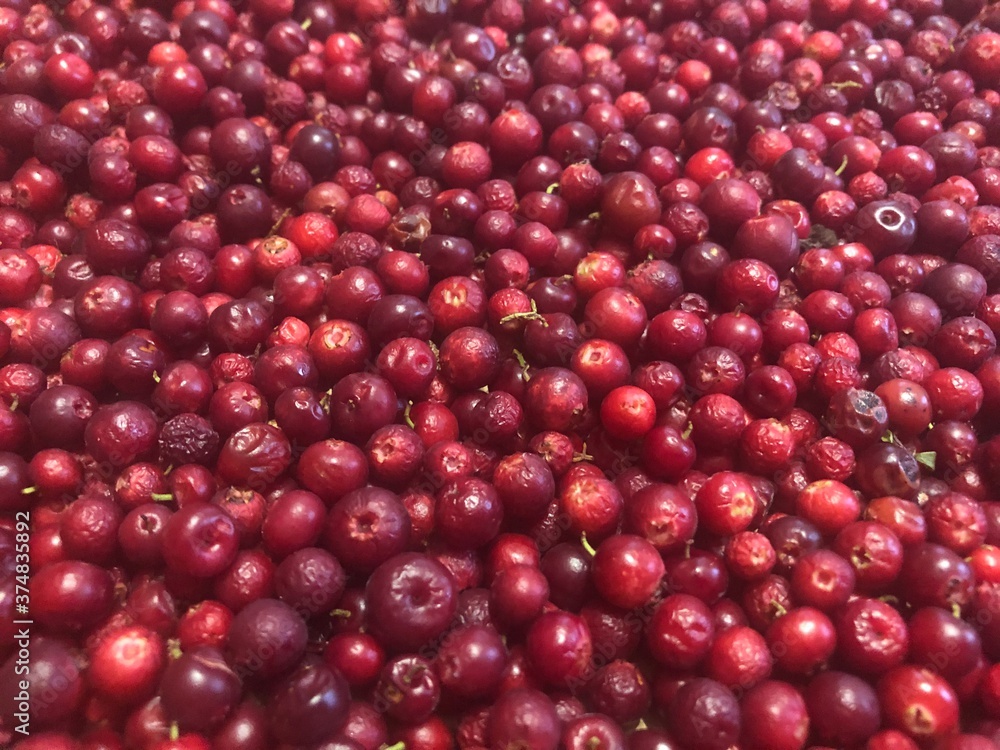 red cranberries background red cranberries background