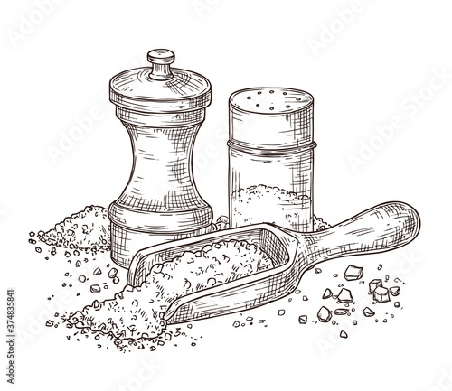 Sea salt. Sketch seasoning, engraving pepper shaker and spoon with powder. Glass packing, spice kitchenware ingredients vector illustration. Spice salt and pepper to cooking, ingredient sketch