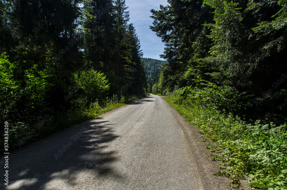 Fototapeta premium droga