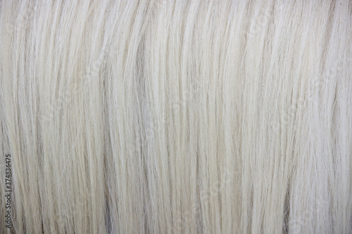 Foto Natural white horse mane texture background
