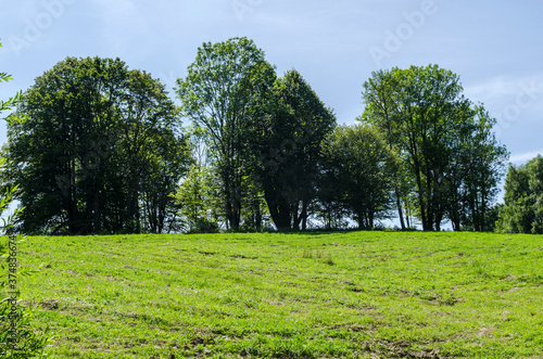 Fototapeta Naklejka Na Ścianę i Meble -  Bieszczady 