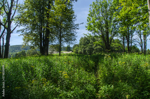 Fototapeta Naklejka Na Ścianę i Meble -  Cerkwisko 