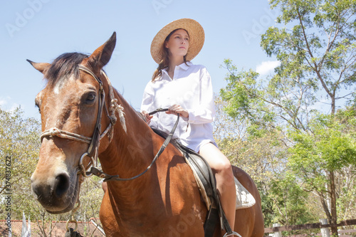 Beautiful young woman riding a horse, summer time outdoor activity