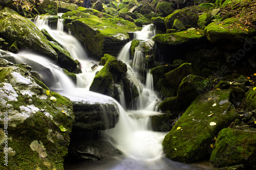 Fototapeta Naklejka Na Ścianę i Meble -  Water flow in a mossy valley