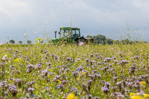 Traktor auf Wiese