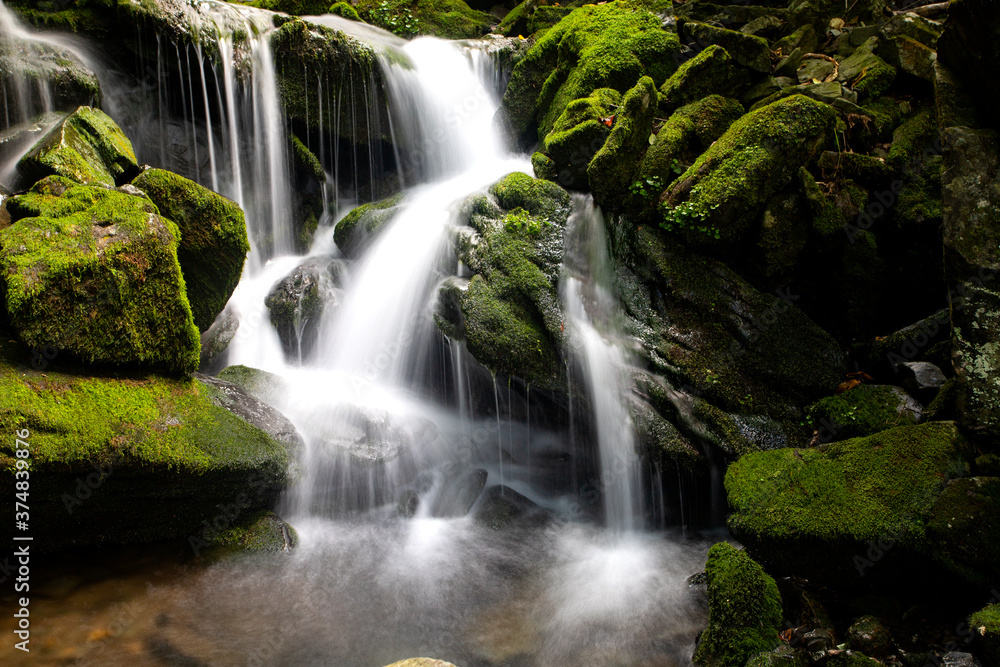 Water flow in a mossy valley Water flow in a mossy valley