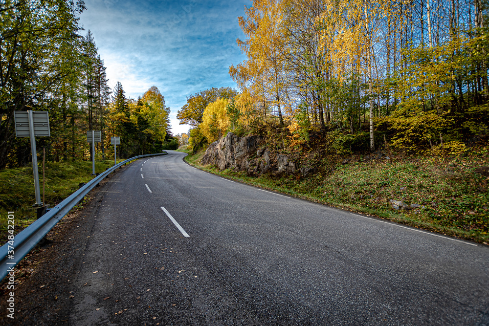 Fototapeta premium road in autumn