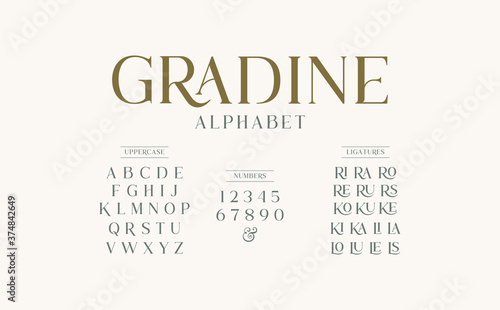 Classic typography elegant. Alphabet and numbering  uppercase. Vector illustration word. photo