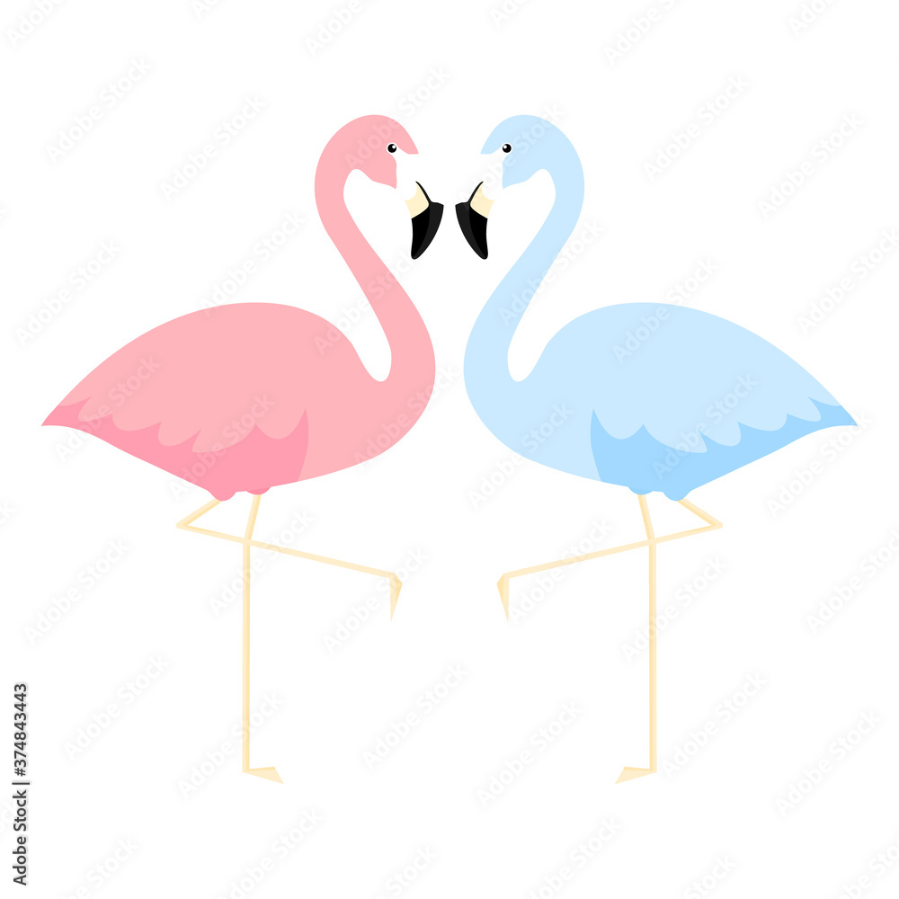 Fototapeta premium Pink and blue flamingos love concept. Couple of two cute flamingo with hearts vector illustration isolated on white