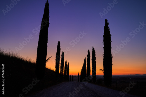 Tourism in Tuscany. Silhouettes of cypress trees around the road against the orange-blue evening sky. A typical landscape element of Tuscany.