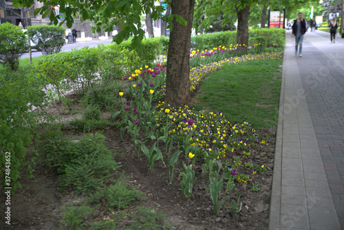 path in the park