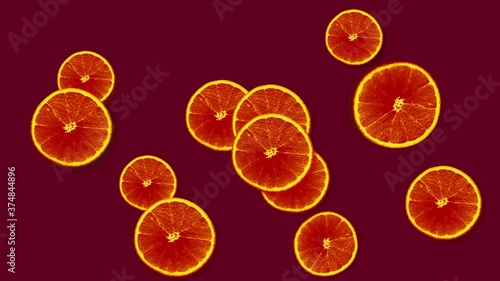 Funny dark red citrus background. Rotating and flying orange fruits grapefruit cuts on red backdrop. Copy space. Motion design animation. Red pink color citrus slices. photo