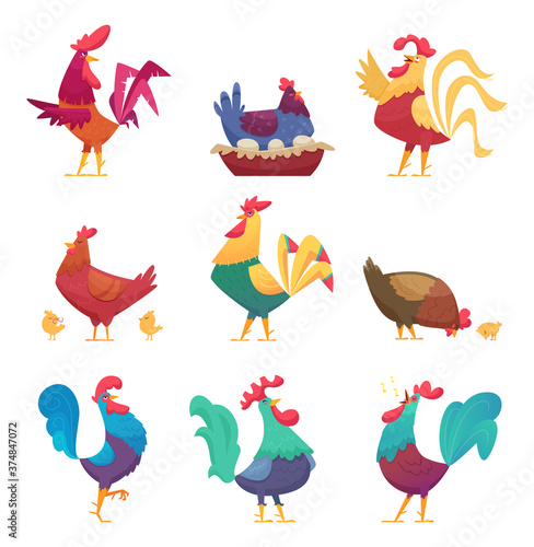 Roosters and hens. Country domestic chicken farm birds eco breeding industry vector cartoon characters. Hen and rooster, chicken bird farm illustration