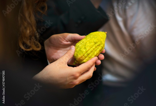 Sukkot (Feast of Tabernacles) preparations, Jewish Orthodox man looking for a perfect Etrog, one of the Four Species traditionally used for the waving ceremony photo