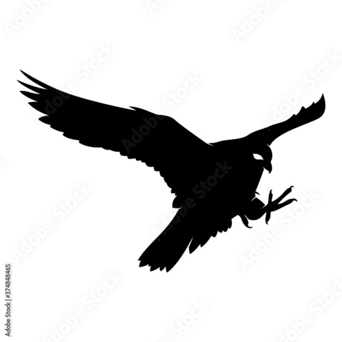 Falcon Silhouette on White Background. Isolated Vector Animal Template for Logo Company, Icon, Symbol etc