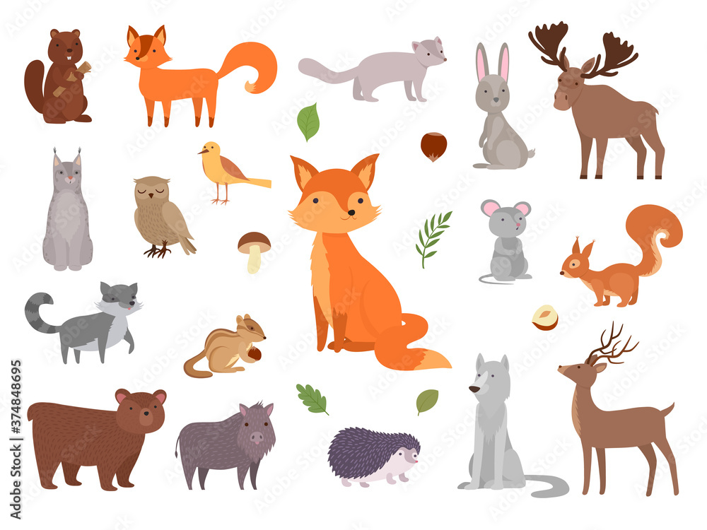 Cute wild animals. Vector forest animals collection fox bear owl vector pictures set. Illustration forest bear and rabbit, collection wildlife squirrel and hedgehog Cute wild animals. Vector forest animals collection fox bear owl vector pictures set. Illustration forest bear and rabbit, collection wildlife squirrel and hedgehog