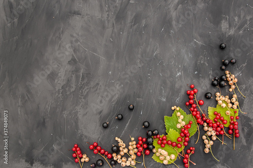 Red and white, black currant with leaves on branches on a dark structural background. The concept of eco-food. The view from the top.