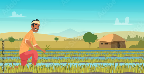 Indian agriculture working. Farmer harvesting in field asia vector background in cartoon style. Farm agriculture, worker indian farming illustration