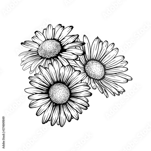 beautiful monochrome, black and white daisy bouquet flowers isolated. for greeting cards and invitations of the wedding, birthday, Valentine's Day, mother's day and other seasonal holiday