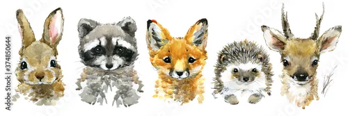 Panel kuchenny z motywem cute funny little animals watercolor set