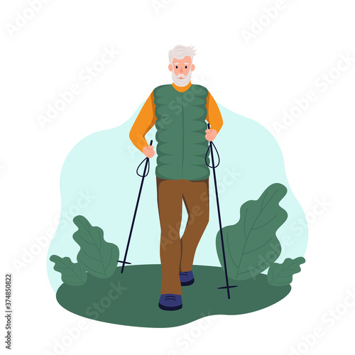 An elderly man walks with sticks in the Park. The concept of Nordic walking, active ageing, sports. Flat cartoon vector illustration.